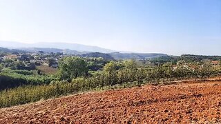 Land for sale in Cadaval, Portugal — €17,500