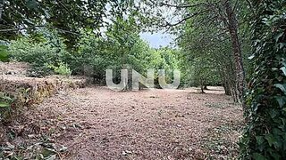 Terreno em Vouzela