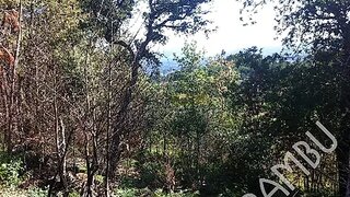 Land for sale in Caminha, Portugal — €50,000