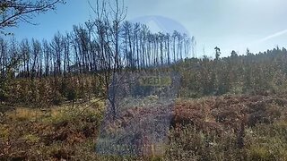 Land for sale in Oliveira do Bairro, Portugal — €15,000