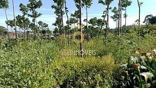 Terreno em Santa Maria da Feira · 4200 m² · 160 000 €