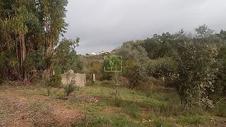 Terreno de 65 250 m² em Castelo Branco