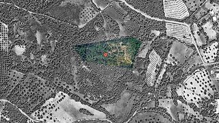 Land for sale in Torres Novas, Portugal — €15,000