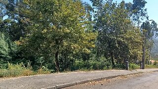 Land for sale in Sever do Vouga, Portugal — €30,000
