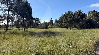 Land for sale in Vagos, Portugal — €100,000