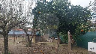 Terreno em Castelo Branco · 650 m² · 25 000 €