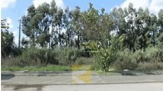 Terreno em Entroncamento