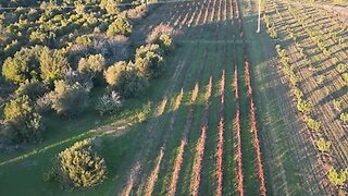 Land for sale in Silves, Portugal — €89,000