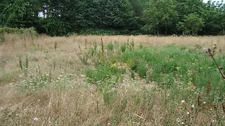 Land for sale in Oliveira do Bairro, Portugal — €130,000