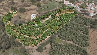 Terreno para venda em Ponta do Sol, Portugal — 470 000 €