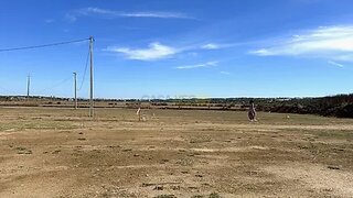 Terreno de 561 m² em Lagoa