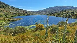 Land for sale in Vila Flor, Portugal — €180,000