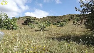 Land for sale in Castro Marim, Portugal — €35,000