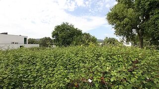 Terreno de 590 m² em Viana do Castelo