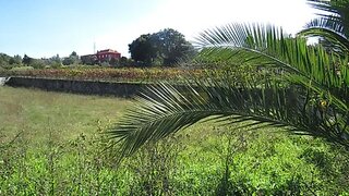 Land for sale in Vila Nova de Poiares, Portugal — €23,000