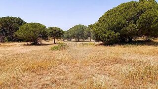 Land for sale in Loulé, Portugal — €195,000