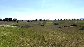 Land for sale in Palmela, Portugal — €320,000