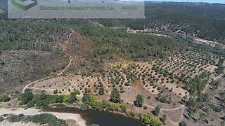 Terreno em Castelo Branco · 4560 m² · 8000 €