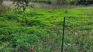 Land for sale in Albufeira, Portugal — €500,000