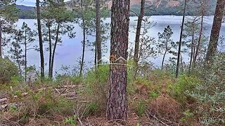 Land for sale in Ferreira do Zêzere, Portugal — €15,000