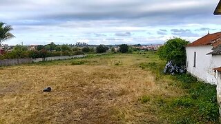 Land for sale in Estarreja, Portugal — €76,000