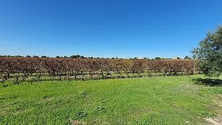 Land for sale in Reguengos de Monsaraz, Portugal — €150,000
