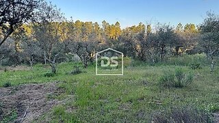 Terreno de 8125 m² em Castelo Branco