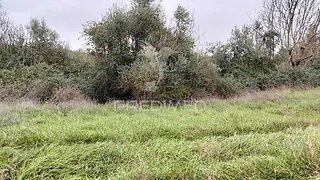 Land for sale in Alandroal, Portugal — €21,150