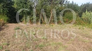 Land for sale in Oliveira do Bairro, Portugal — €42,500