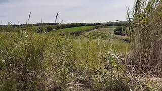 Land for sale in Lourinhã, Portugal — €12,000
