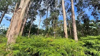Land for sale in Paços de Ferreira, Portugal — €20,000