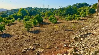 Land for sale in Faro, Portugal — €110,000
