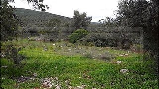 Land for sale in Loulé, Portugal — €700,000