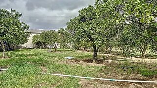 Terreno de 3743 m² em Leiria