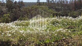 Land for sale in Odemira, Portugal — €150,000