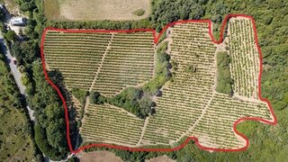 Land for sale in Sobral de Monte Agraço, Portugal — €125,000
