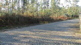 Terreno · 11 000 m² · 400 000 €