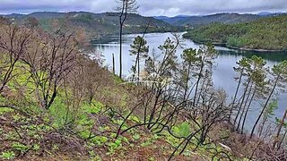 Land for sale in Tomar, Portugal — €9,000