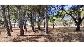 Land for sale in Grândola, Portugal — €220,000