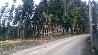 Land for sale in Águeda, Portugal — €70,000