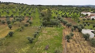 Land for sale in Ourém, Portugal — €25,000