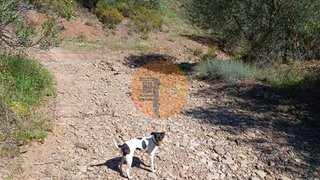 Land for sale in Castro Marim, Portugal — €29,000