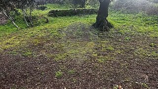 Land for sale in Tomar, Portugal — €5,000