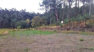 Land for sale in Melgaço, Portugal — €10,000