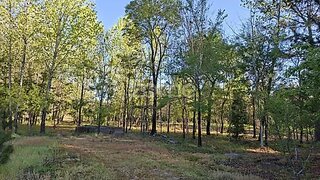 Land for sale in Oliveira do Bairro, Portugal — €185,000