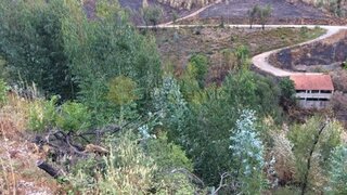 Land for sale in Pedrógão Grande, Portugal — €10,000