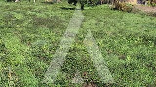 Land for sale in Vila Nova de Poiares, Portugal — €25,000