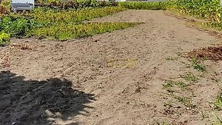 Land for sale in Guarda, Portugal — €1,200,000