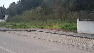 Terreno de 550 m² em Coimbra