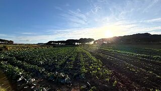Terreno em Sintra